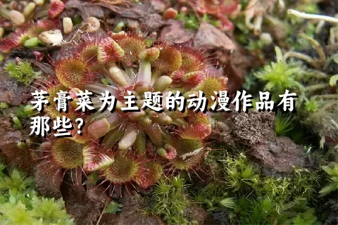 茅膏菜为主题的动漫作品有那些？