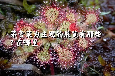 茅膏菜为主题的展览有那些？在哪里