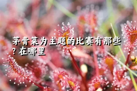 茅膏菜为主题的比赛有那些？在哪里