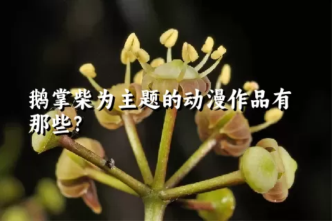 鹅掌柴为主题的动漫作品有那些？