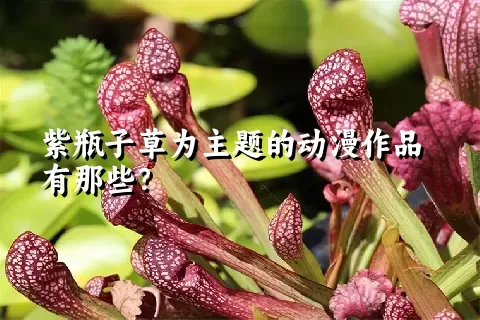 紫瓶子草为主题的动漫作品有那些？