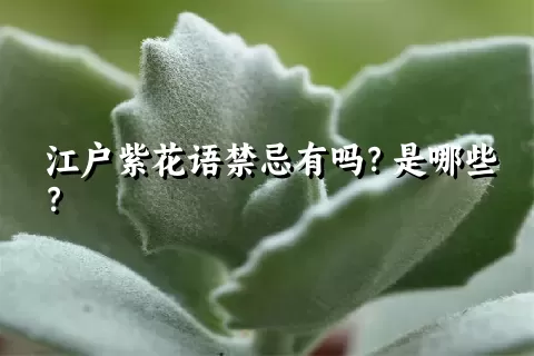 江户紫花语禁忌有吗？是哪些？