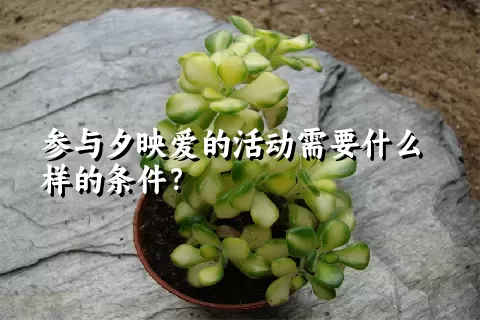 参与夕映爱的活动需要什么样的条件？