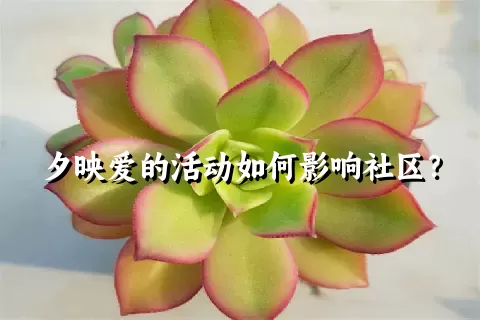 夕映爱的活动如何影响社区？