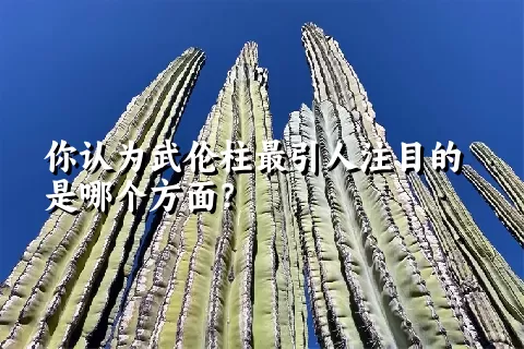 你认为武伦柱最引人注目的是哪个方面？