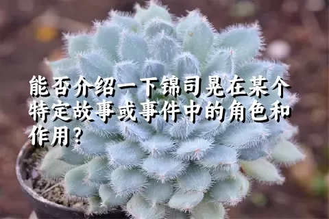 能否介绍一下锦司晃在某个特定故事或事件中的角色和作用？