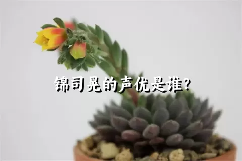 锦司晃的声优是谁？