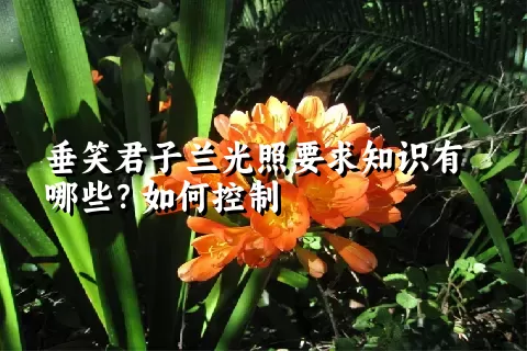 垂笑君子兰光照要求知识有哪些？如何控制