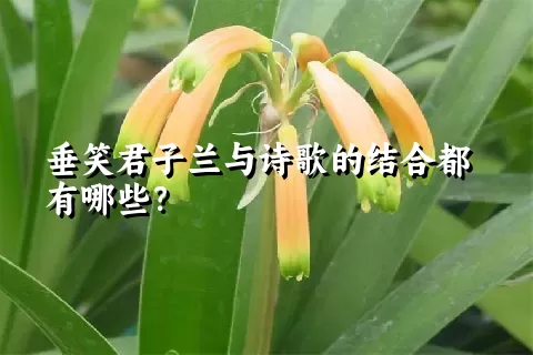 垂笑君子兰与诗歌的结合都有哪些？