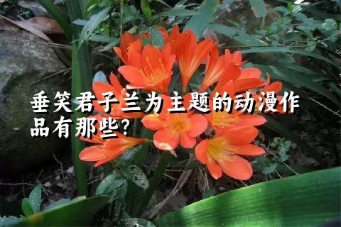 垂笑君子兰为主题的动漫作品有那些？