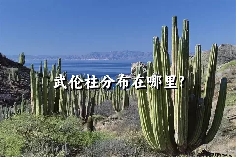 武伦柱分布在哪里?