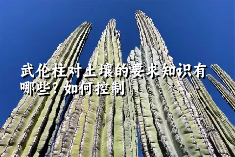 武伦柱对土壤的要求知识有哪些？如何控制