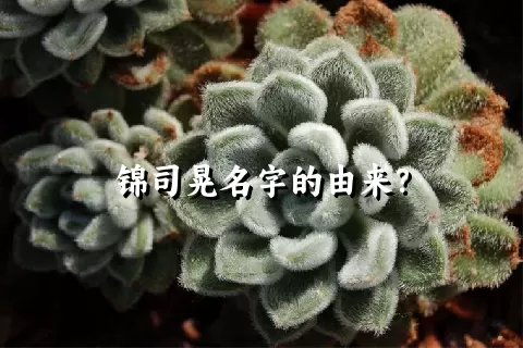 锦司晃名字的由来？