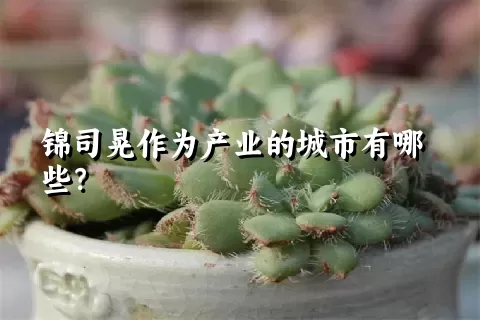 锦司晃作为产业的城市有哪些？