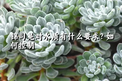 锦司晃对水质有什么要求？如何控制