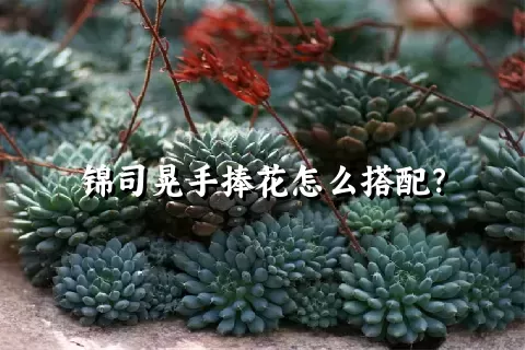 锦司晃手捧花怎么搭配？