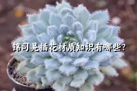 锦司晃插花材质知识有哪些？