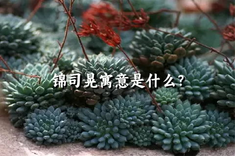 锦司晃寓意是什么？