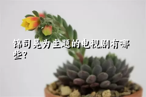 锦司晃为主题的电视剧有哪些？