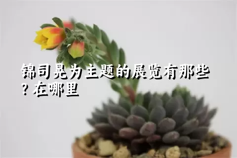 锦司晃为主题的展览有那些？在哪里