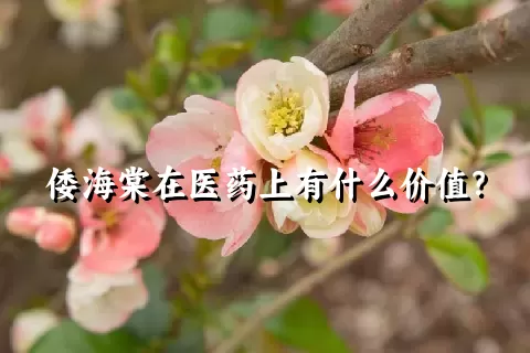 倭海棠在医药上有什么价值？