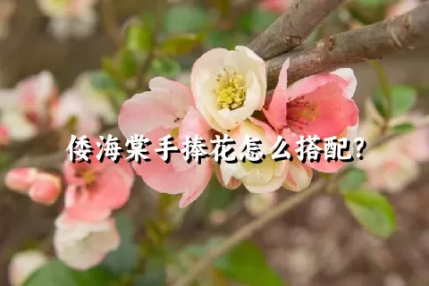 倭海棠手捧花怎么搭配？