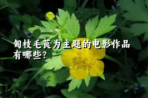 匍枝毛茛为主题的电影作品有哪些？