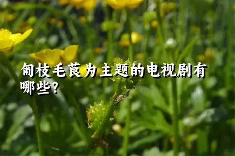 匍枝毛茛为主题的电视剧有哪些？