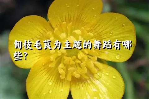 匍枝毛茛为主题的舞蹈有哪些？