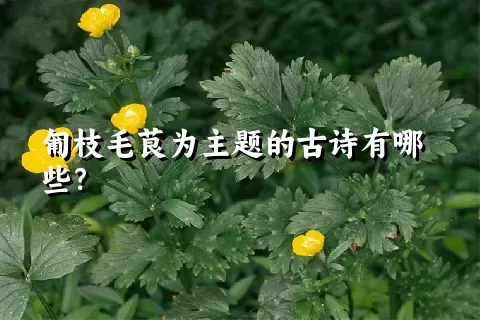 匍枝毛茛为主题的古诗有哪些？