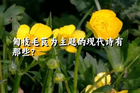 匍枝毛茛为主题的现代诗有那些？