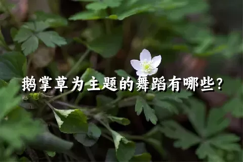 鹅掌草为主题的舞蹈有哪些？