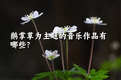 鹅掌草为主题的音乐作品有哪些？