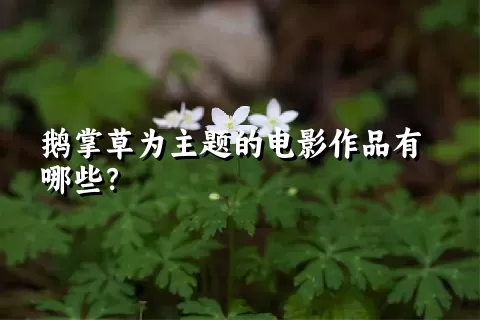 鹅掌草为主题的电影作品有哪些？