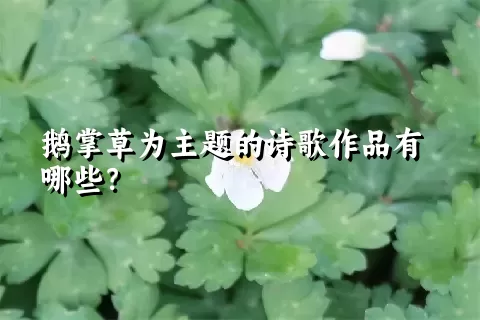 鹅掌草为主题的诗歌作品有哪些？