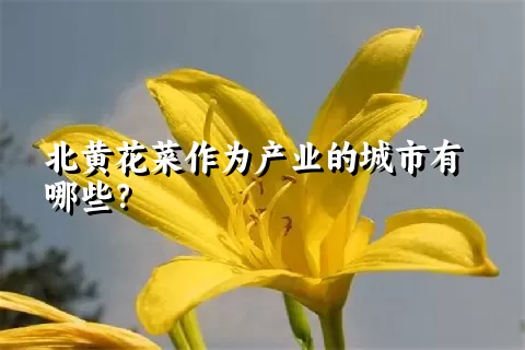 北黄花菜作为产业的城市有哪些？