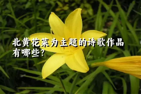 北黄花菜为主题的诗歌作品有哪些？