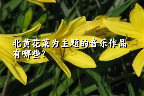 北黄花菜为主题的音乐作品有哪些？