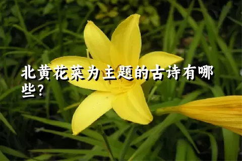 北黄花菜为主题的古诗有哪些？