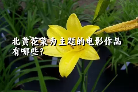 北黄花菜为主题的电影作品有哪些？