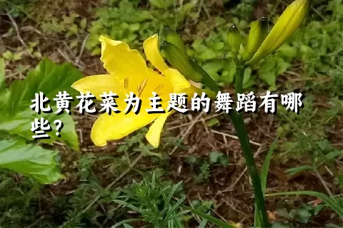 北黄花菜为主题的舞蹈有哪些？