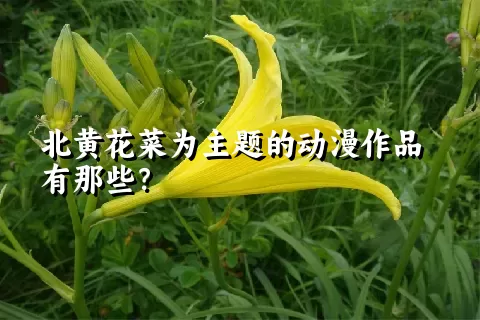 北黄花菜为主题的动漫作品有那些？