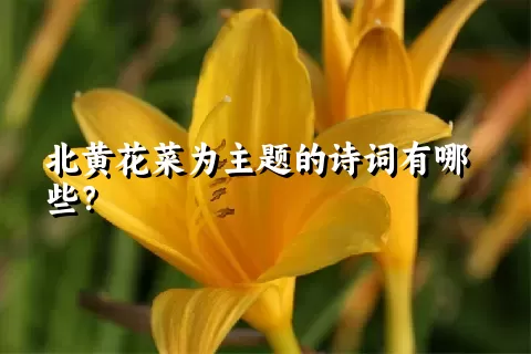 北黄花菜为主题的诗词有哪些？