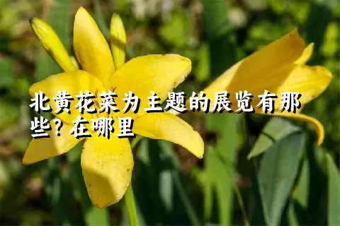 北黄花菜为主题的展览有那些？在哪里