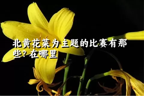 北黄花菜为主题的比赛有那些？在哪里