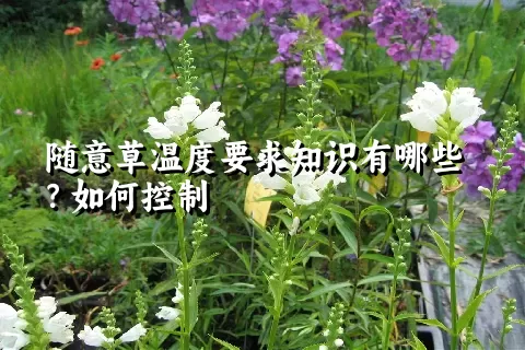 随意草温度要求知识有哪些？如何控制