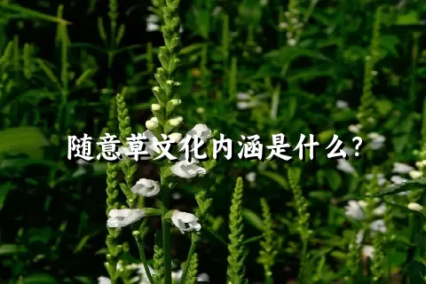 随意草文化内涵是什么？