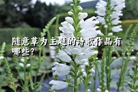 随意草为主题的诗歌作品有哪些？