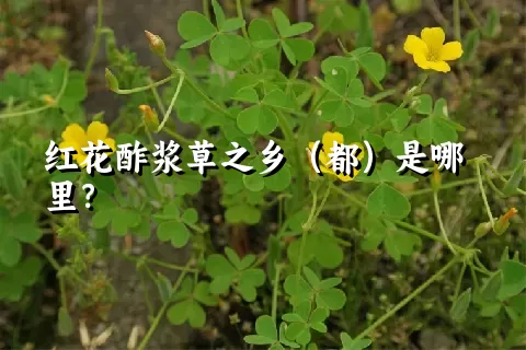 红花酢浆草之乡（都）是哪里？