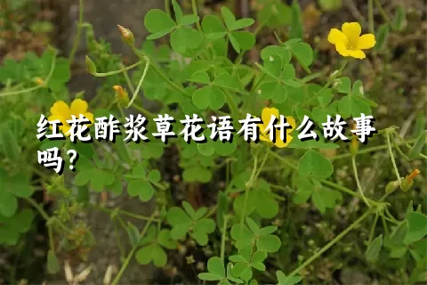 红花酢浆草花语有什么故事吗？